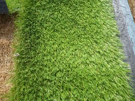 Photo of free Offcuts of Artificial grass (Bracknell RG12) #2