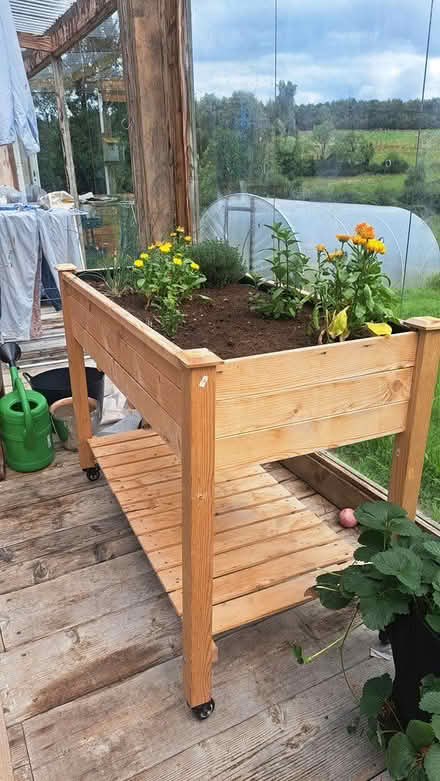 Photo of free Vegetable plantar (Belturbet) #2