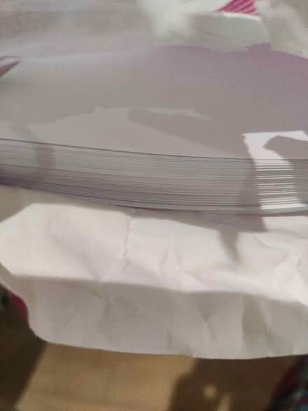 Photo of free A4 papers and the punched transparent pocket (White City W12) #2