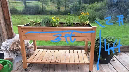 Photo of free Vegetable plantar (Belturbet) #1