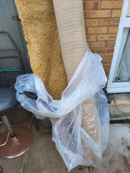 Photo of free High back chair and large mustard rug (Moreton CH46) #3