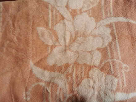 Photo of free Large fleece blanket (Llansilin SY10) #1