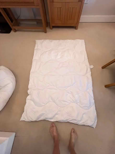 Photo of free Polyester Quilts (Poole Quay BH15) #2