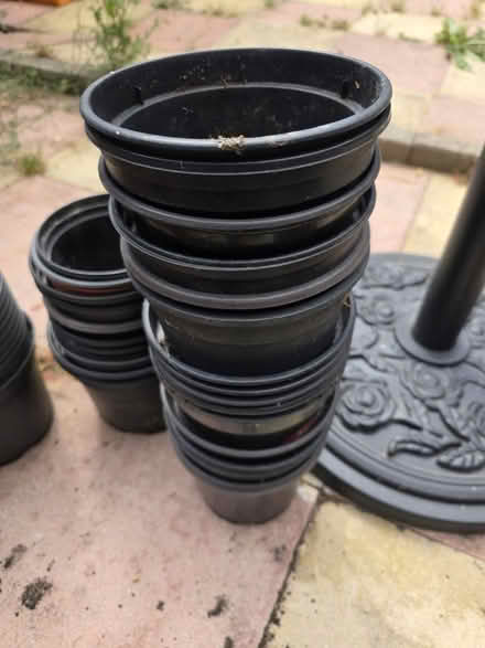 Photo of free 20+ small plant pots (Luton LU2) #2