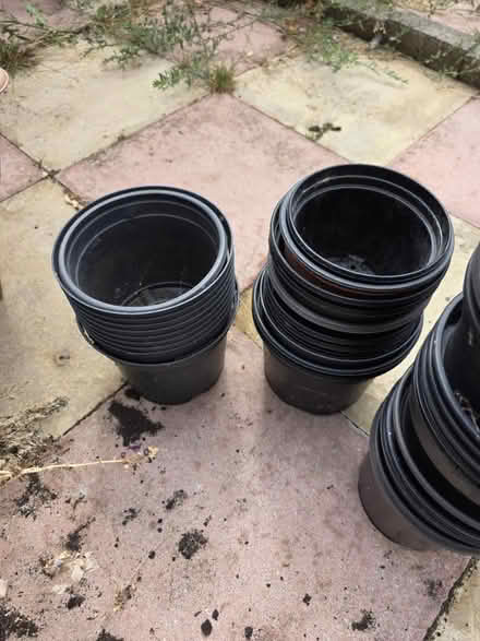 Photo of free 20+ small plant pots (Luton LU2) #3