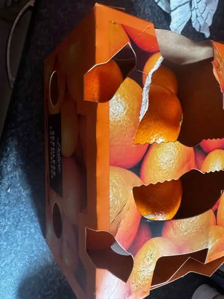 Photo of free Oranges (Aspley NG8) #1