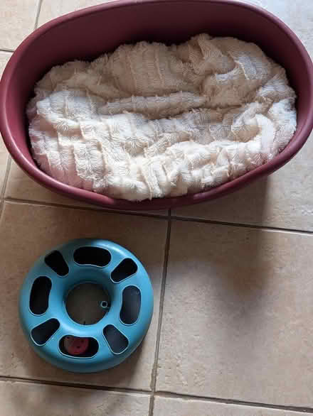 Photo of free Cat bed and toy feeder (Woodside TF7) #1