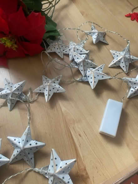 Photo of free Christmas decorations (Mangotsfield BS165) #3