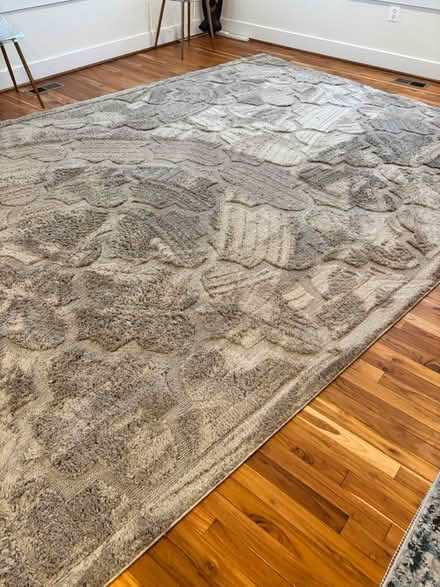 Photo of free 9 x 12 Area Rug Beige (Mount Rainier) #1