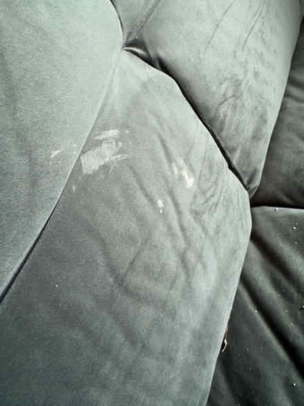 Photo of free Sofa bed (Bedgrove HP21) #4