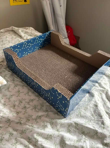 Photo of free Cardboard cat scratcher (Near Chelmsford Center) #1