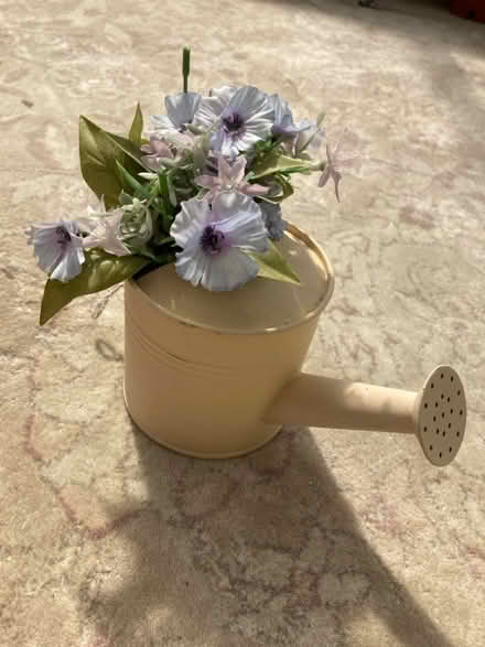 Photo of free Little Decorative watering can (East Rainham ME8) #1