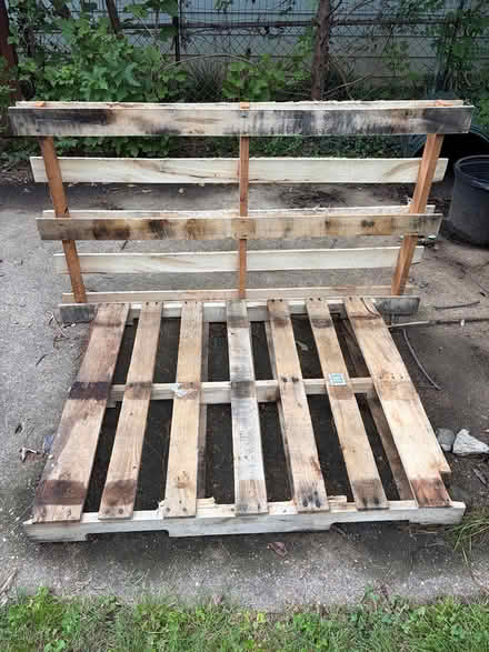 Photo of free wood pallets new (4422 Davenport St NW) #1