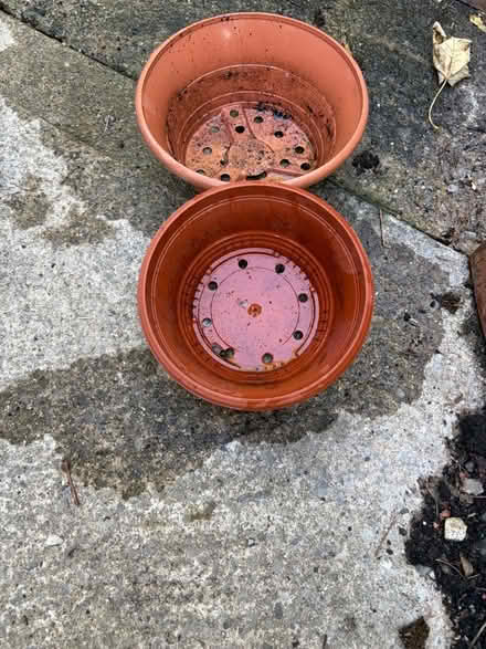 Photo of free Two pots (Westbury BA13) #1