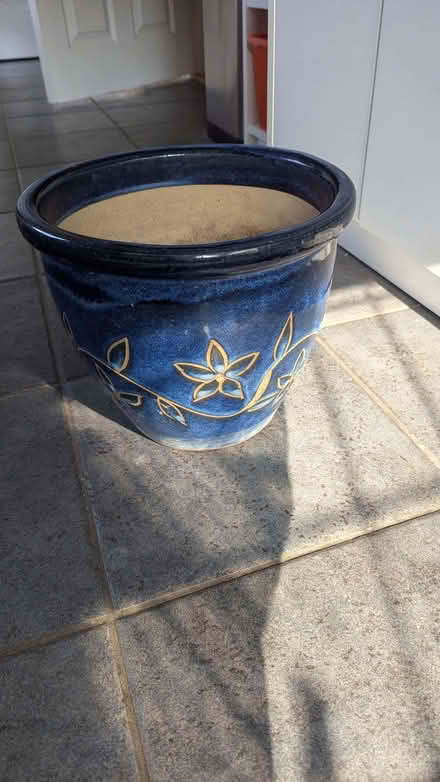 Photo of free garden plant container (Caversham RG4) #1