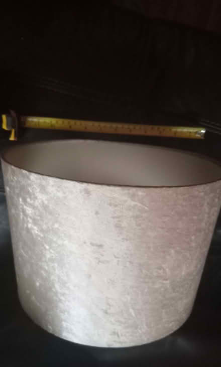 Photo of free Champagne crushed velvet light shade (Huyton L36) #1