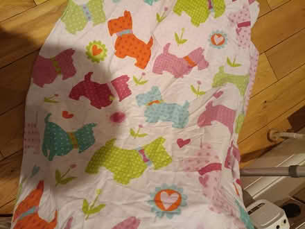 Photo of free Bag of single bed sheets and pillow cases (kids) (Abingdon OX14) #3