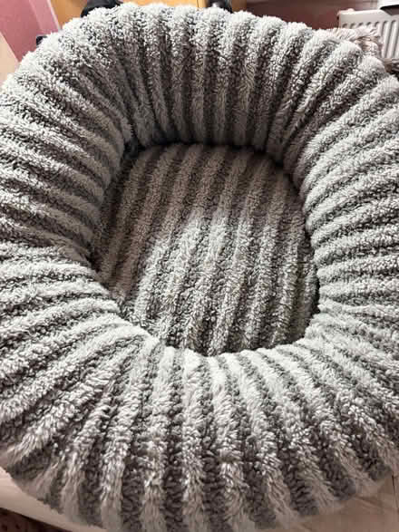 Photo of free Dog bed (Gateacre L25) #1