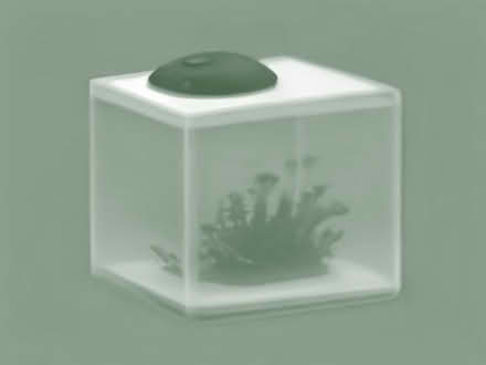 Photo of 4ft fish tank / aquarium (Dovecotes WV8) #1