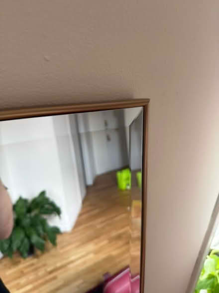Photo of free Full length mirror - Gold frame (Corner of 87th and Columbus) #1