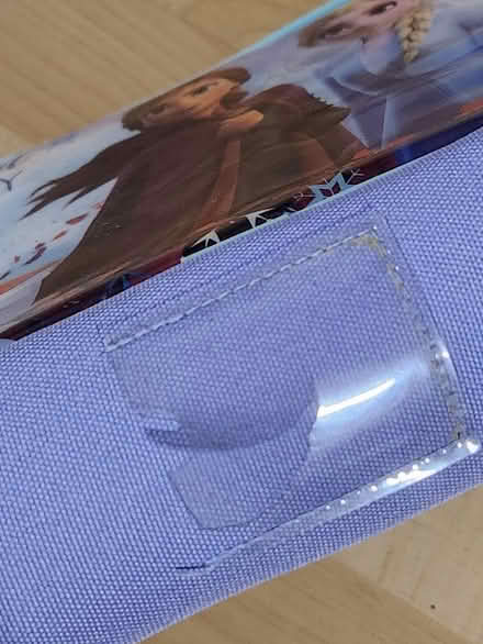 Photo of free Frozen lunchbox (Castlefield HP12) #2
