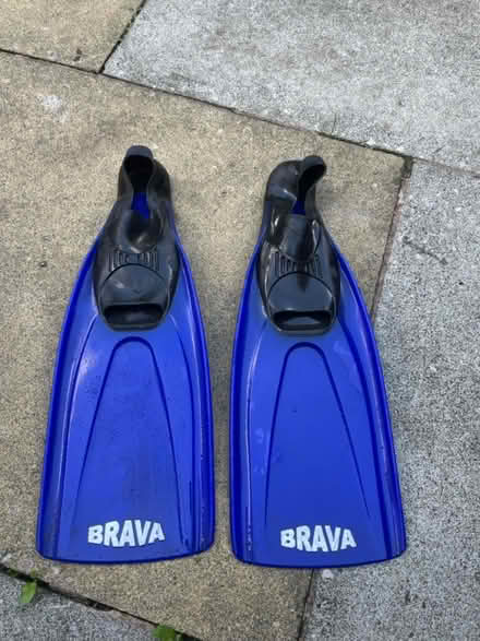 Photo of free Flippers (Walton L9) #1