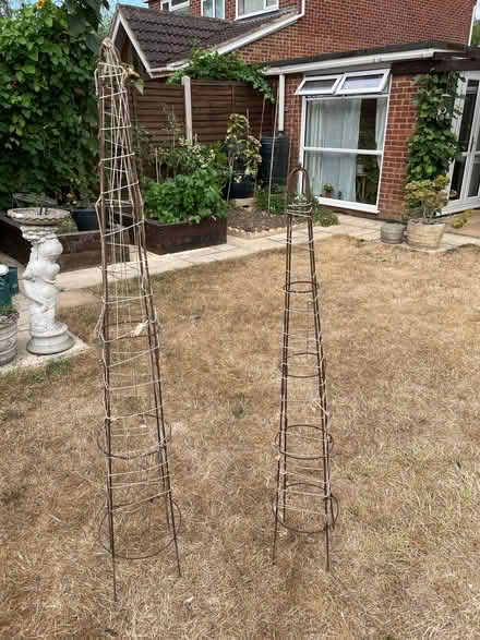 Photo of free Plant climbers (Woodley RG5) #1