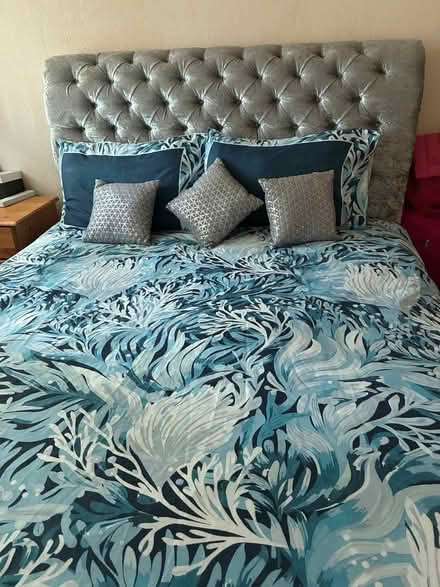 Photo of free King size velvet crush bed (Alexandra Park M16) #1