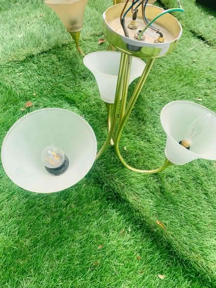 Photo of free Ceiling lights (High Wycombe) #2