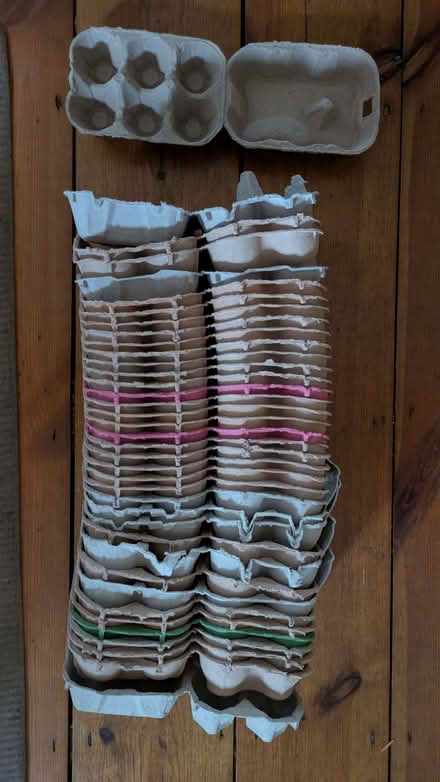 Photo of free Egg boxes (approx 40) (Mousehold NR3) #1