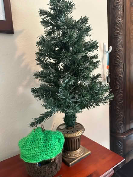 Photo of free Mini Christmas Tree/Bird House (Century park, cathedral city) #1