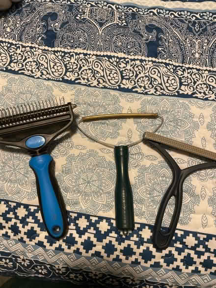 Photo of free Dog brush/lint roller thing (Montebello) #1