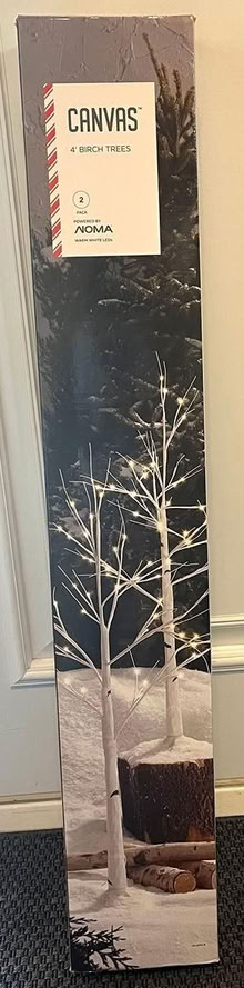 Photo of free Birch Twig Tree (Streetsville) #1