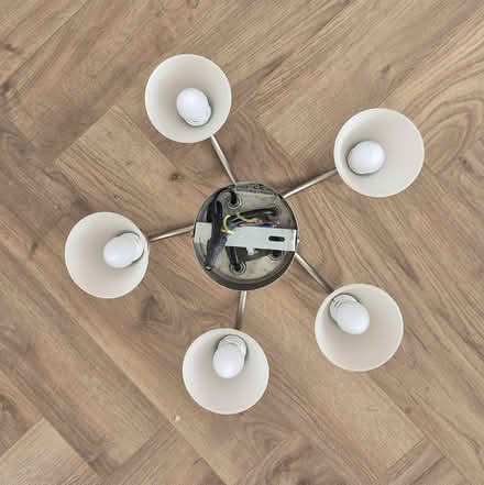 Photo of free 5 light ceiling light with white shades.and bulb remover. (Winskill CA10) #3