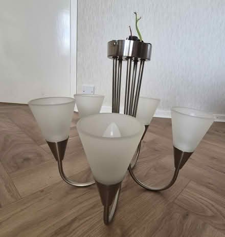 Photo of free 5 light ceiling light with white shades.and bulb remover. (Winskill CA10) #1