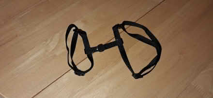 Photo of free Cat/pet items (Aylestone LE2) #4