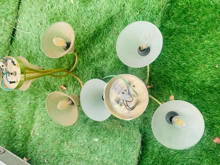 Photo of free Ceiling lights (High Wycombe) #1