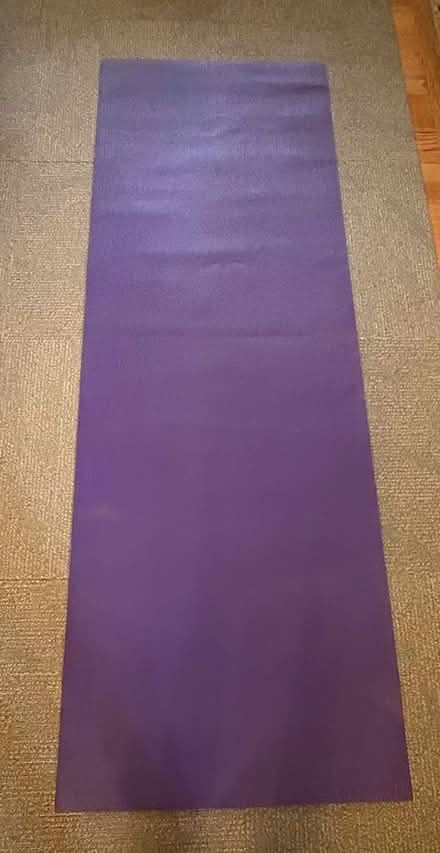 Photo of free Yoga mat (North Springfield) #1