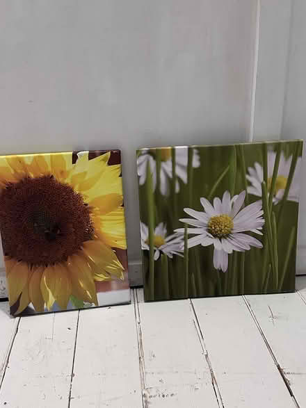 Photo of free Couple of Canvas’ of Flowers (Warwick CV34) #1