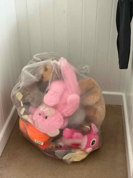 Photo of free Mixed bag of teddies (Northwood HA6) #1