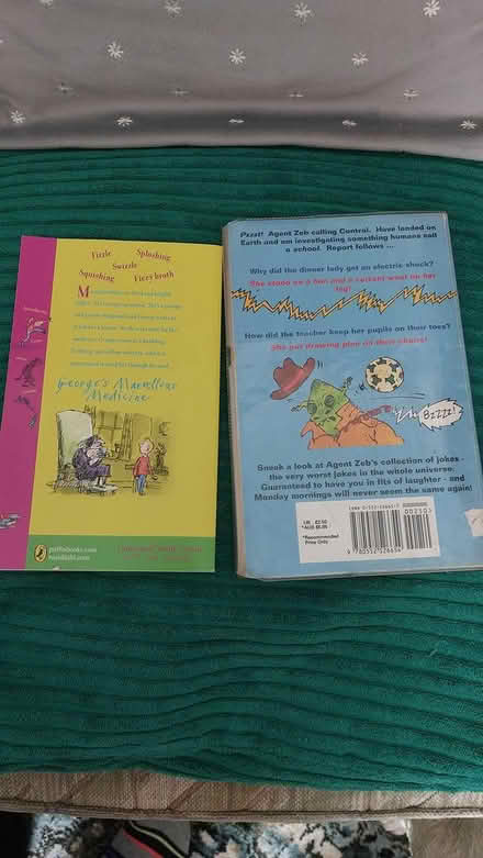 Photo of free x2 childrens books (dorset BH12) #2