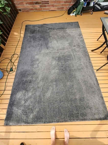 Photo of free Grey 6 1/2' x 10' short shag carpet (Lake City Way) #1