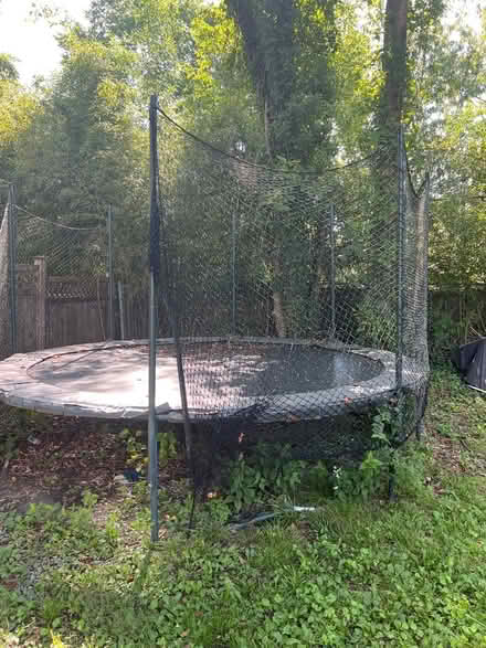 Photo of free trampoline (Takoma Park) #1