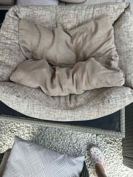 Photo of free Dog bed (Templars Square OX4 4) #2
