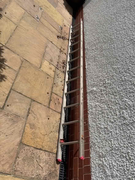 Photo of free 12 rung aluminium ladder (Well Lane CH2) #1