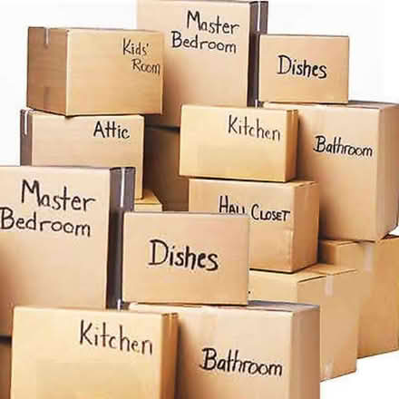Photo of Sturdy moving boxes (Edmonton N18) #1