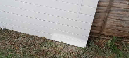 Photo of free Old wooden door (Southmead Bristol) #1