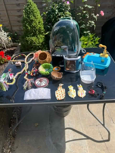 Photo of free Small birds accessories (So 16 Southampton) #1