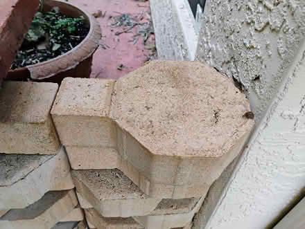 Photo of free Landscape pavers etx (Indian River County) #4