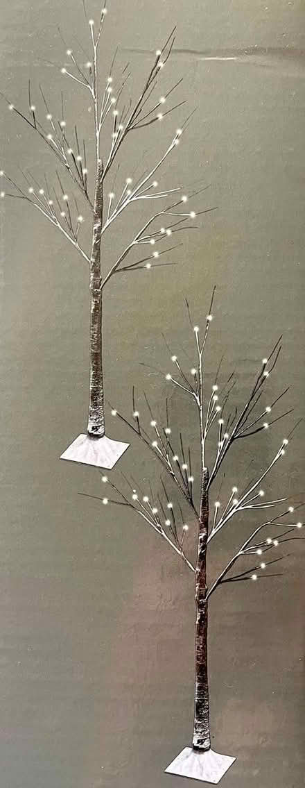 Photo of free Twig Tree (Streetsville) #2